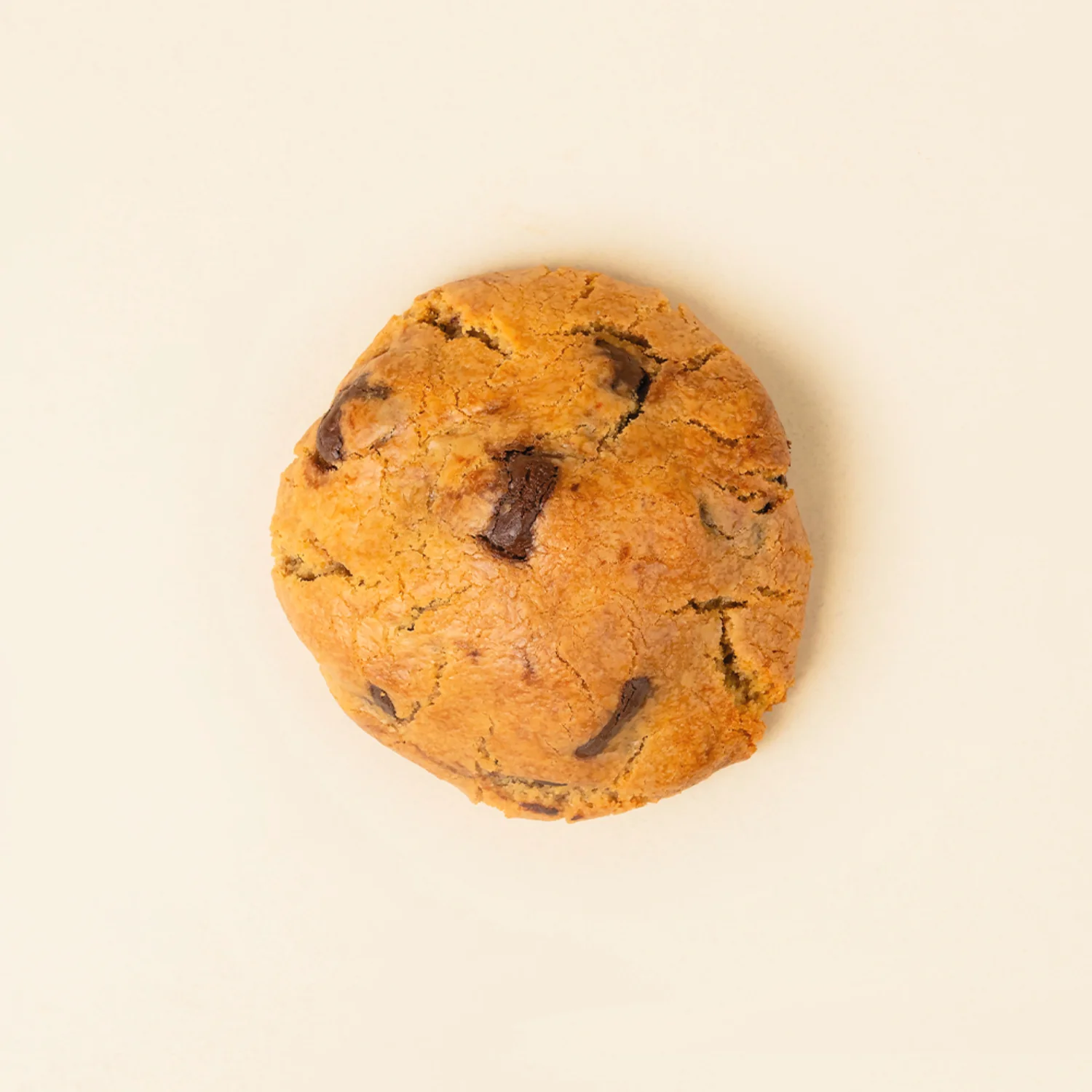 Chocolate Chip Walnut - Image 3