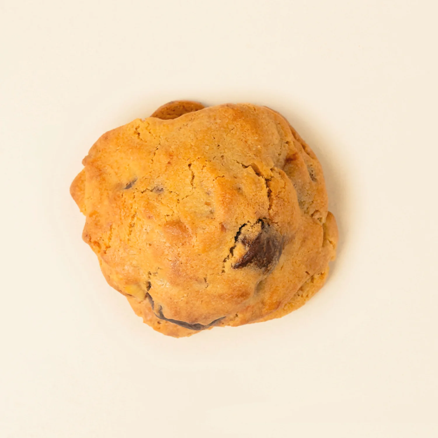 Chocolate Hazelnut Filled - Image 3
