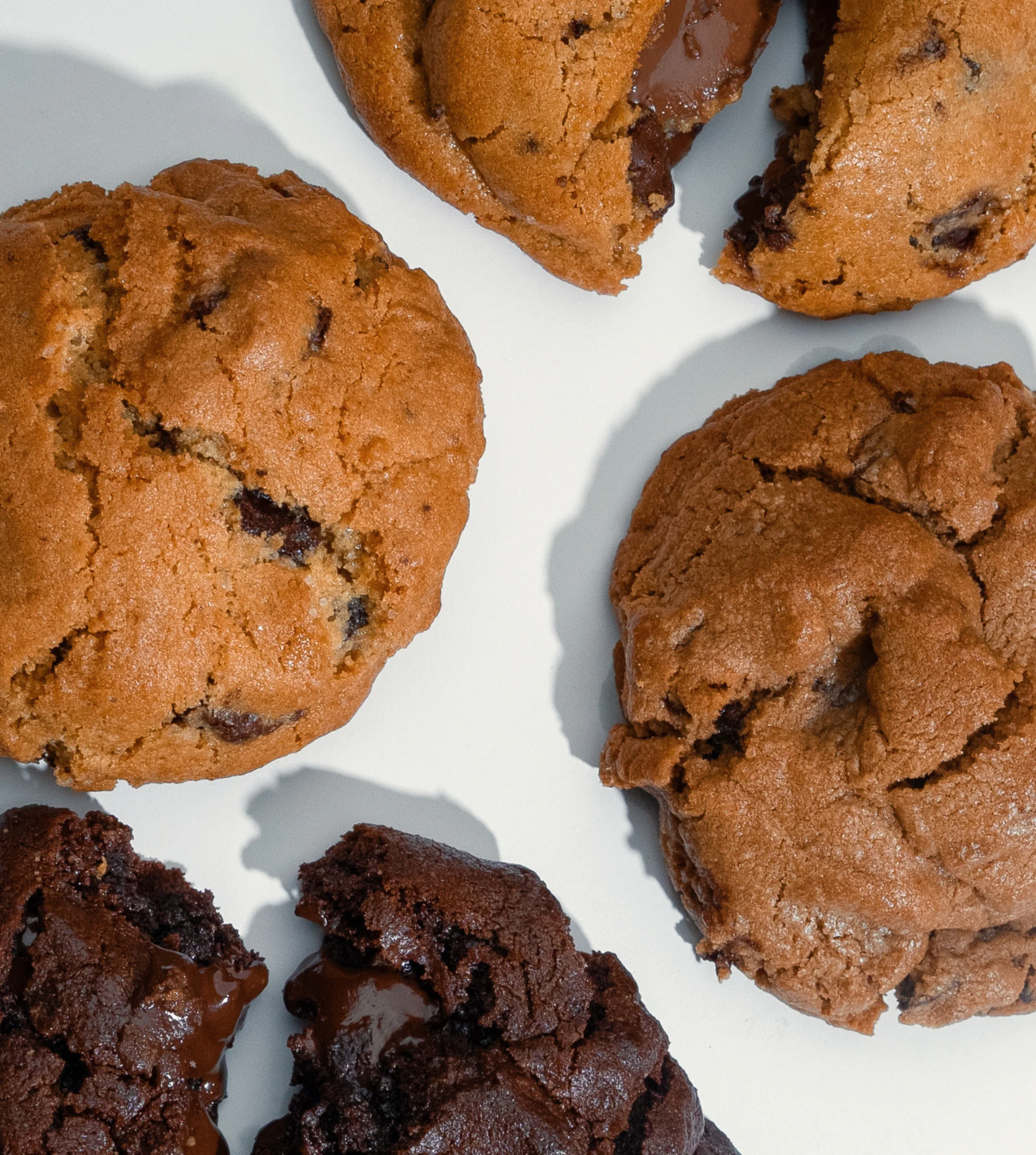 Chocolate Lovers' Assortment - Image 3